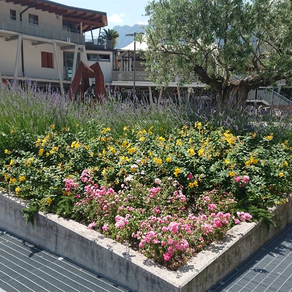 Bios - Le nostre realizzazioni | Garda Thermae - Arco